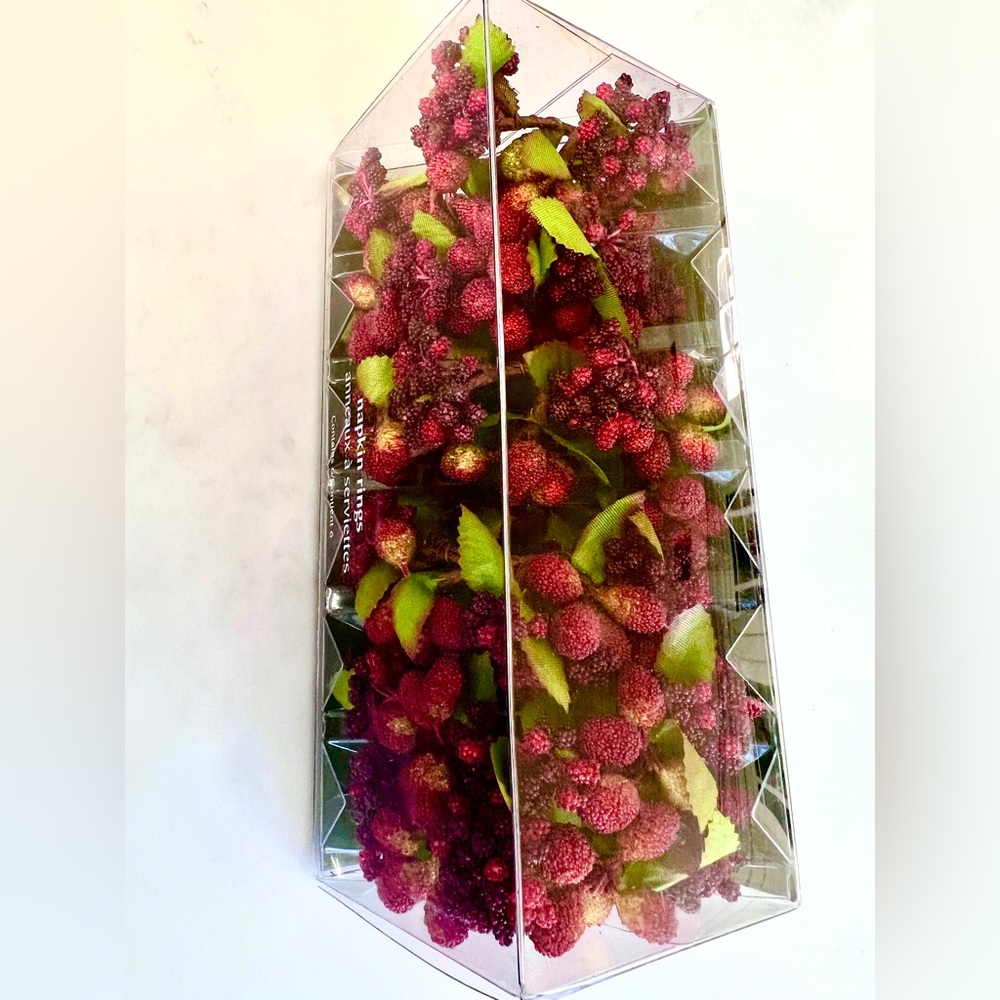 Pier 1 Berry Wreath Napkin Holders Set of 6 New